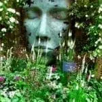 Rhs chelsea flower show