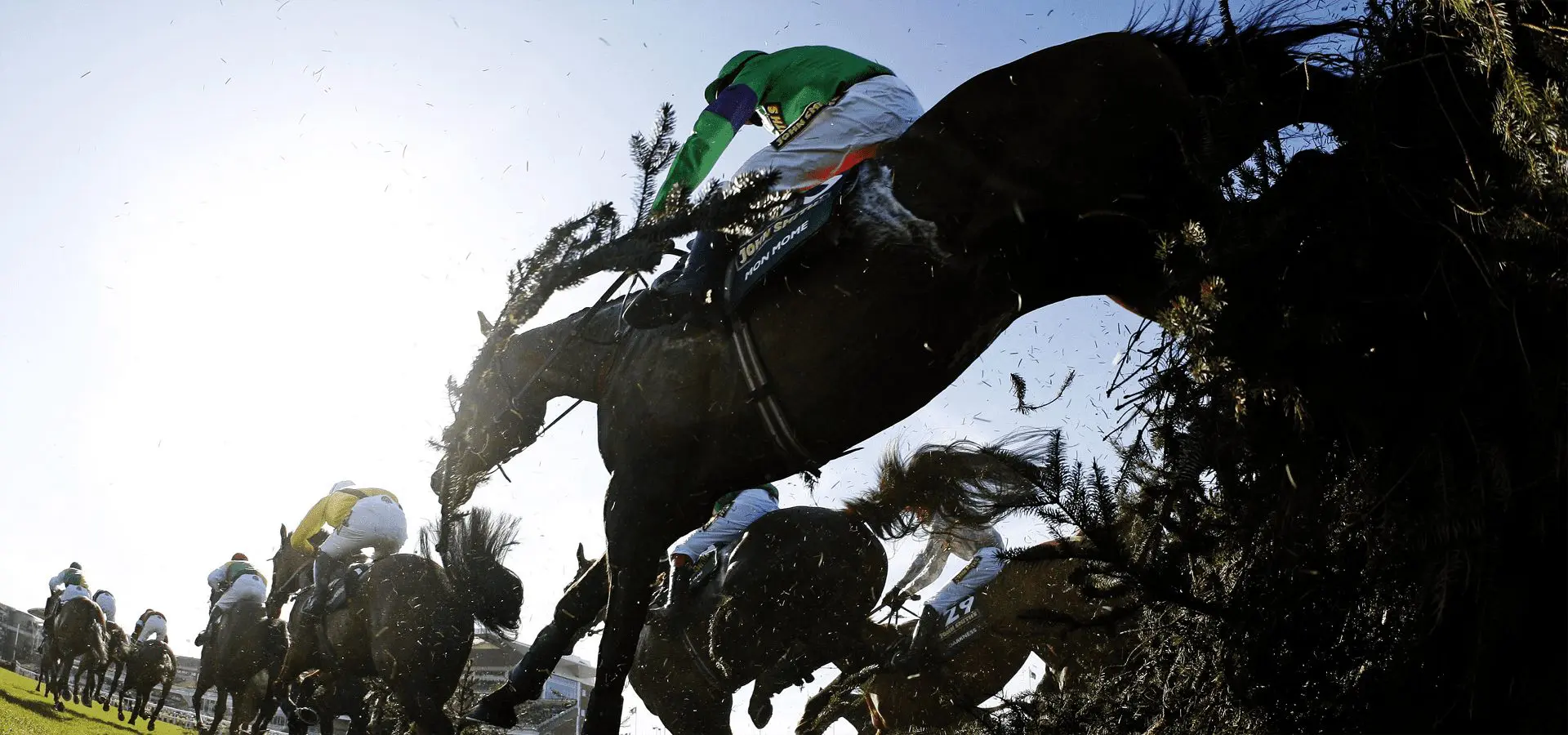 Grand national aintree