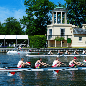 Henley regatta tickets