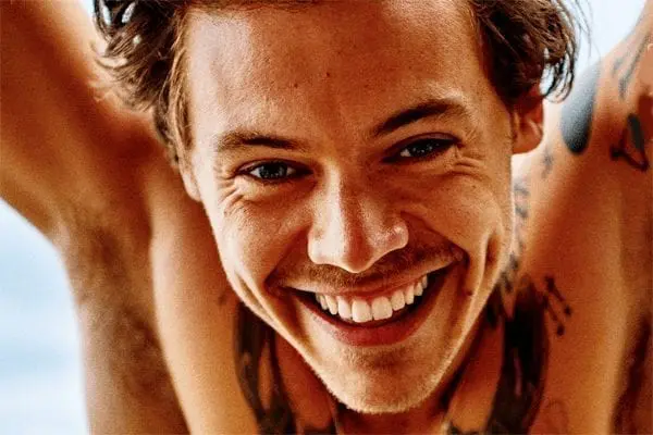 Harry styles, sat 18/6/2022 wembley stadium