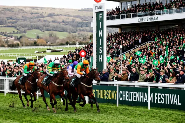 cheltenham festival tickets