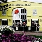 Chelsea flower show hospitality